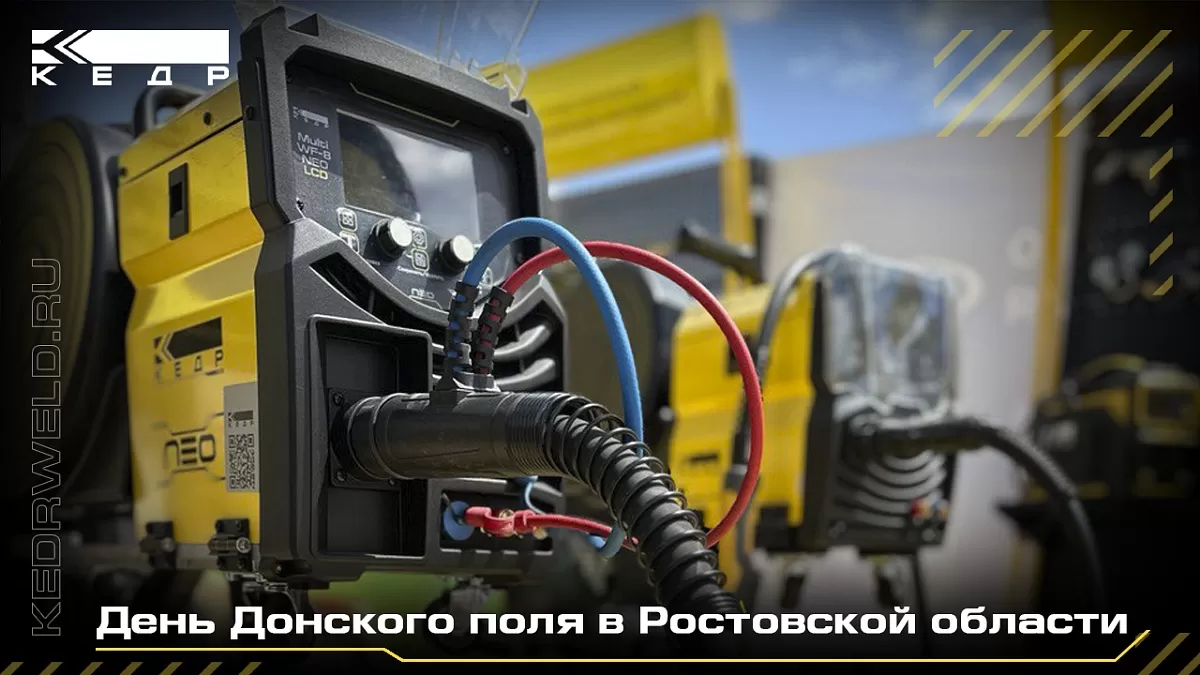 “День Донского поля” в Ростовской области - Кедр - 1